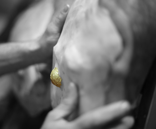 Prosciuttificio Antica Pieve - Mani sapienti esperte nella lavorazione del prosciutto crudo stagionato